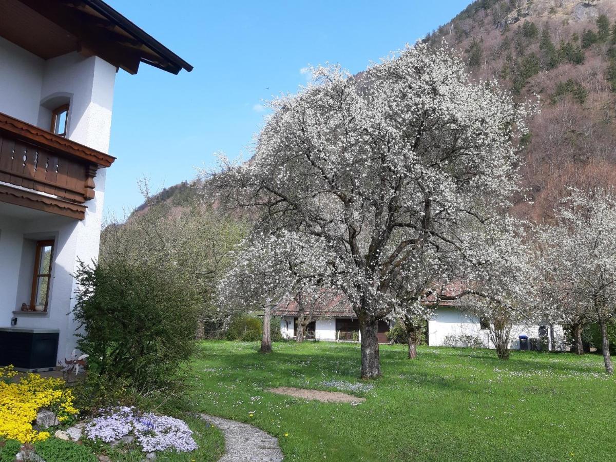 Haus Polleichtner Lägenhet Marquartstein Exteriör bild