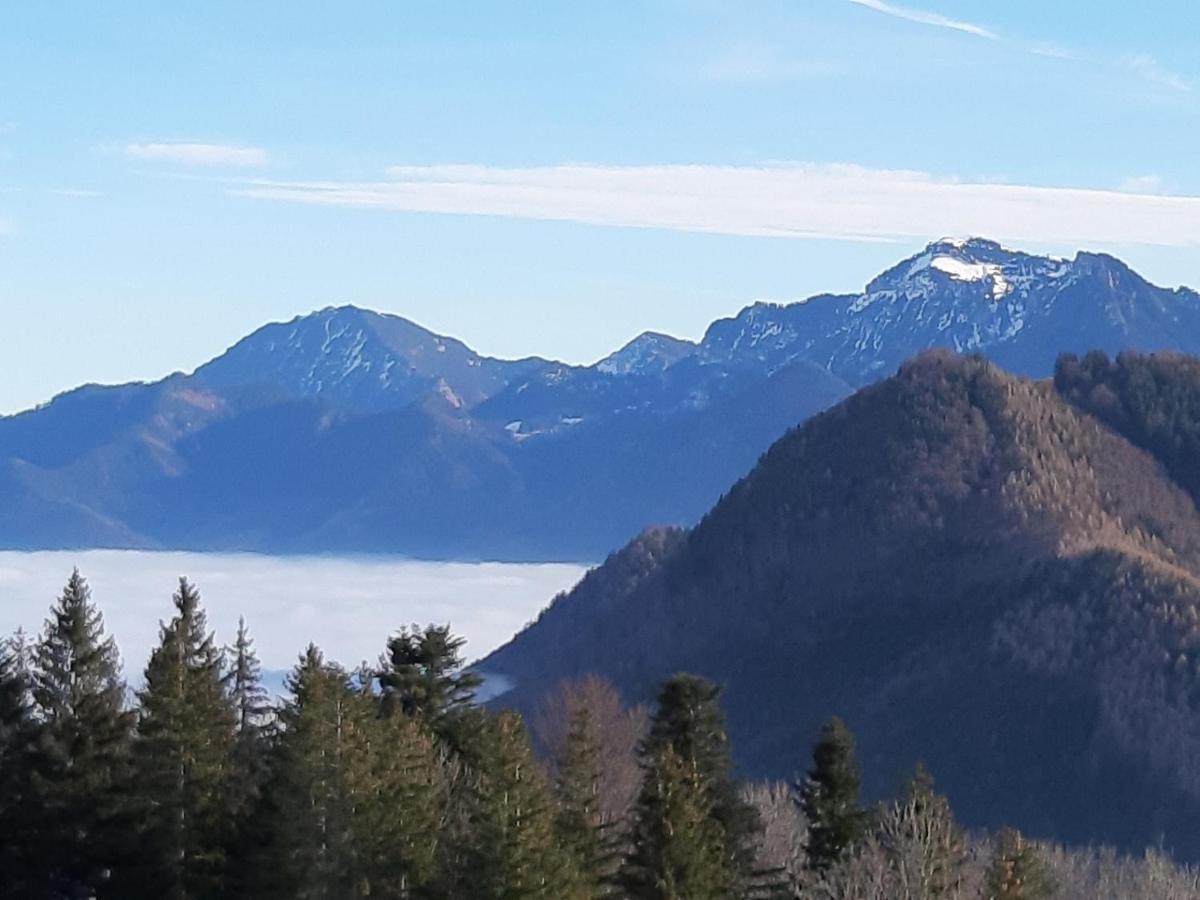 Haus Polleichtner Lägenhet Marquartstein Exteriör bild